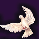 Misaal Foundation Official Logo